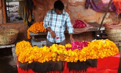 Jaipur, a esplendorosa cidade rosa