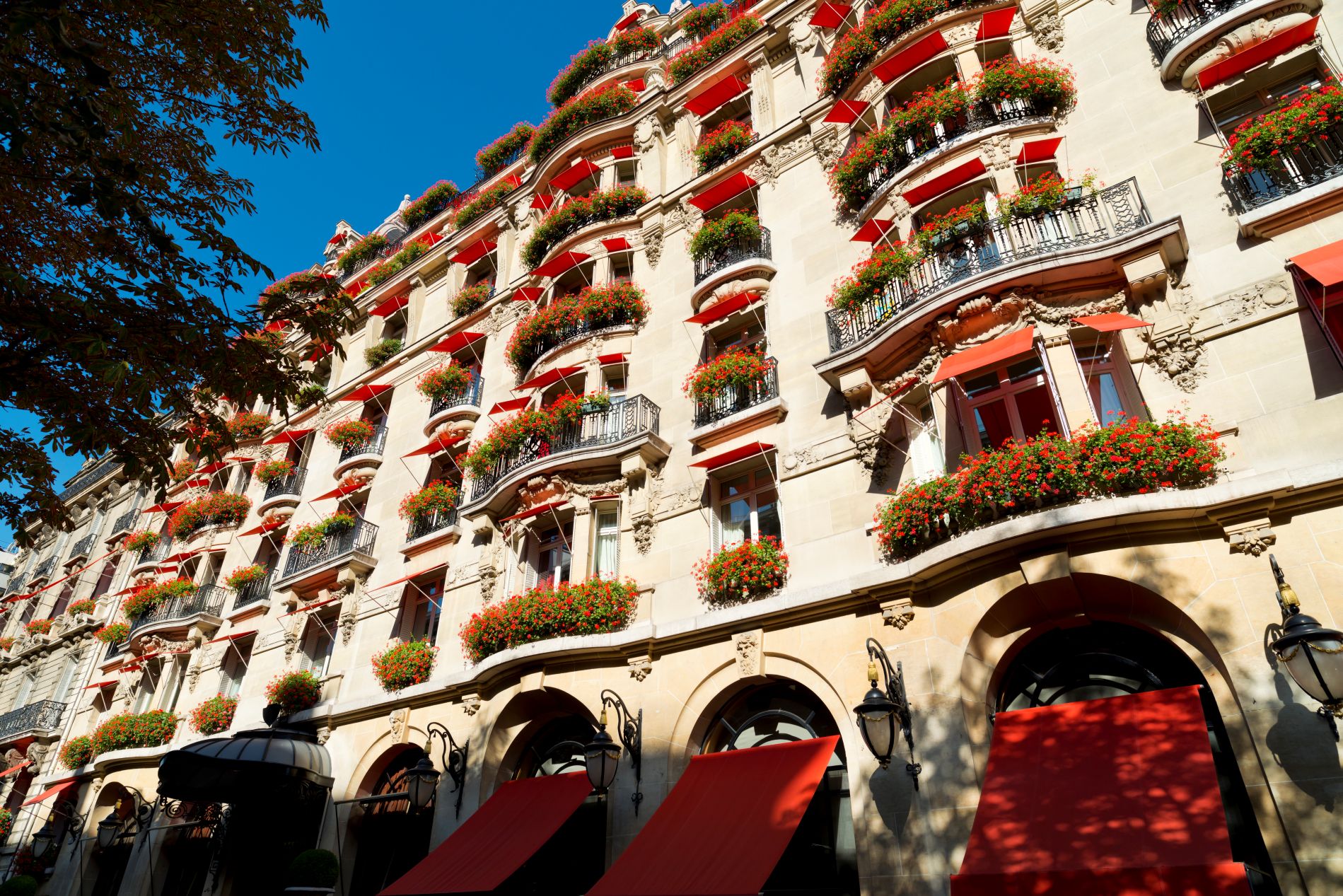 Plaza Athénée: 41º no ranking 