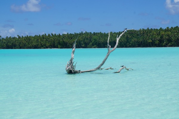 Brasileiros vão estrelar nova etapa da campanha do Turismo do Tahiti