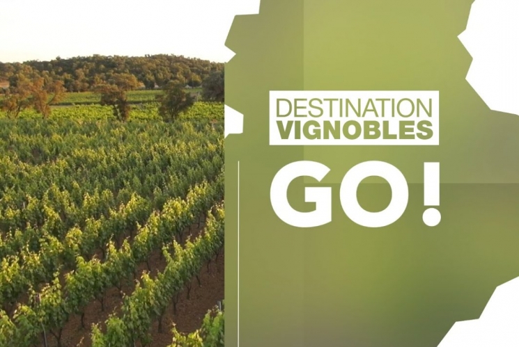 Aix-en-Provence sediará Salão Destination Vignobles 2020,