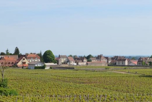 Borgonha: é muito mais que vinhos e gastronomia